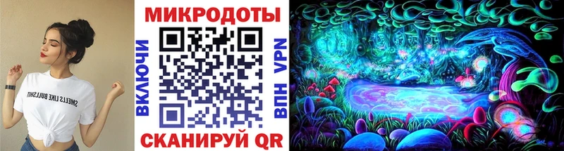 маркетплейс Telegram  Волхов  Галлюциногенные грибы Psilocybine cubensis 